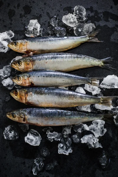 Fresh whole fish on ice — Stock Photo, Image