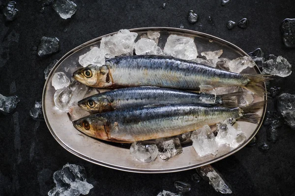 Pesca sostenible, sardinas — Foto de Stock