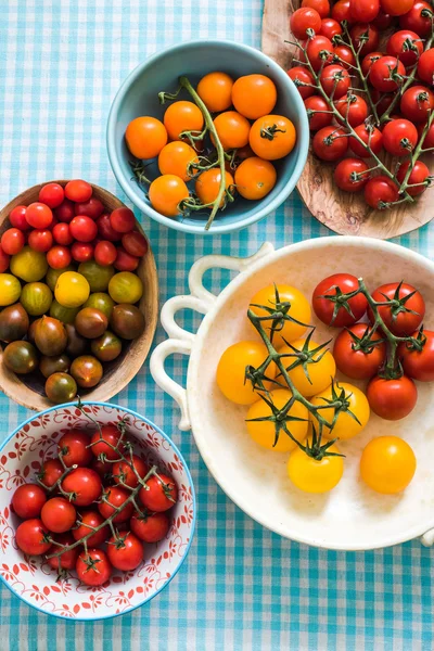 Tomates variados vibrantes —  Fotos de Stock