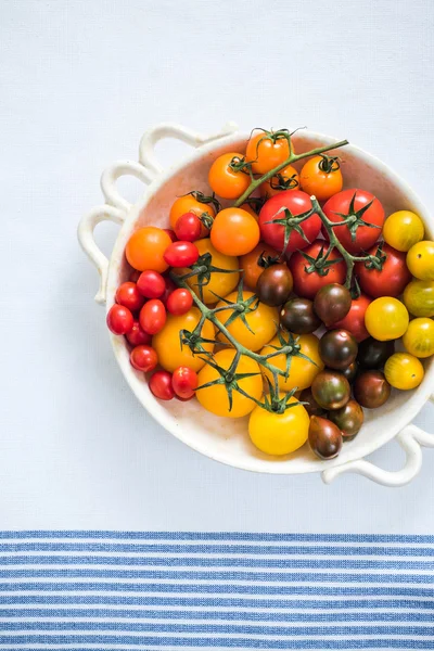 Wibrujący wybór pomidorów — Zdjęcie stockowe