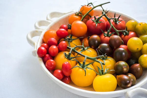 Levendige selectie van tomaten — Stockfoto