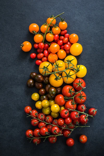 Urval av färska tomater — Stockfoto