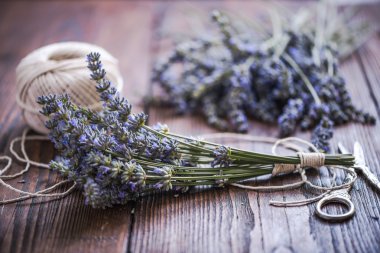 kesme taze lavanta