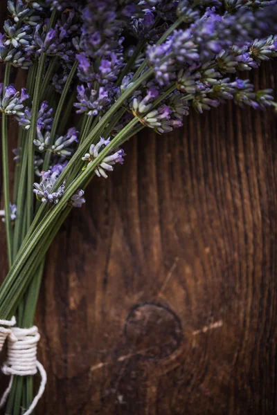 Secagem de lavanda fresca, conceito de ervas — Fotografia de Stock