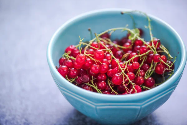 Redcurrant in bowl — Stock Photo, Image