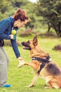 kadın eğitmen ile birlikte köpek
