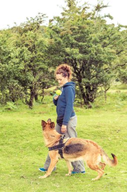 köpek eğitim yürüyen