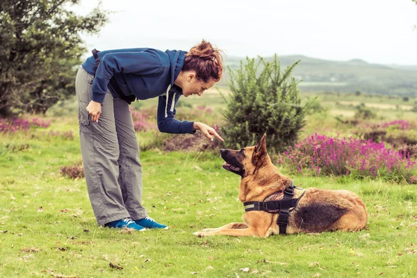 Træner fortælle hund til at sidde - Stock-foto