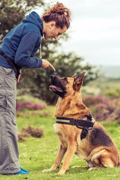 Young woman dog owner — Stock Photo, Image