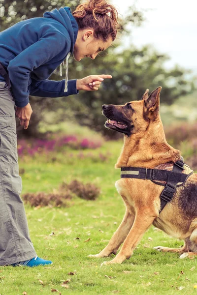 Treinador ensinar segurança cão obediência — Fotografia de Stock