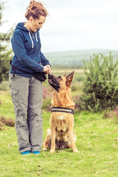 security dog sitting next to trainer