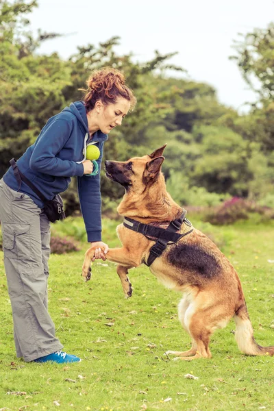 Dog react wrong to trainer command — Stock Photo, Image