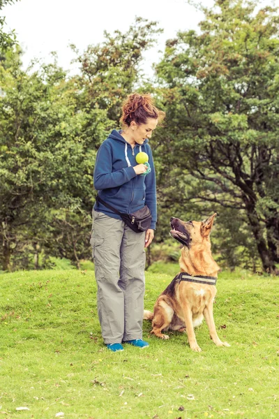 Dog walking training — Stock Photo, Image