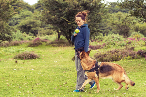 dog walking training