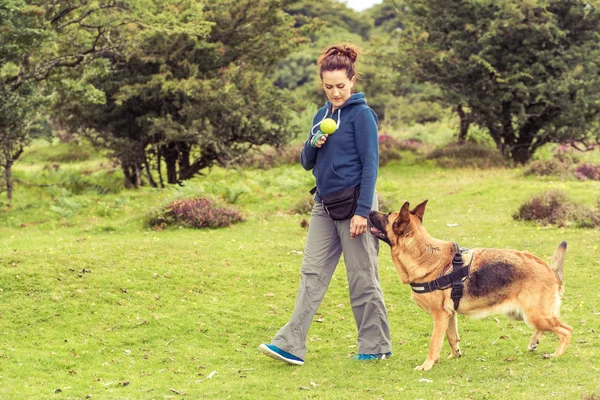 Entrenamiento de pasear perro —  Fotos de Stock