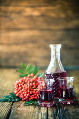 Rowanberry natural tincture for winter clipart