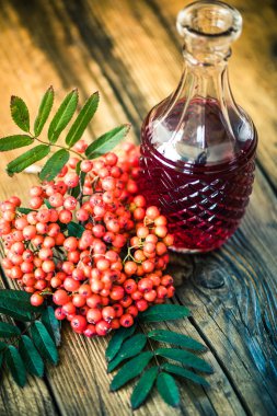 Rowanberry tincture vodka on wooden table clipart