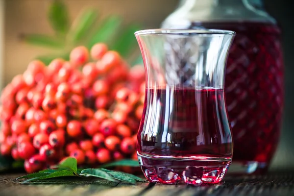 Rowanberry natural tincture for winter — Stock Photo, Image