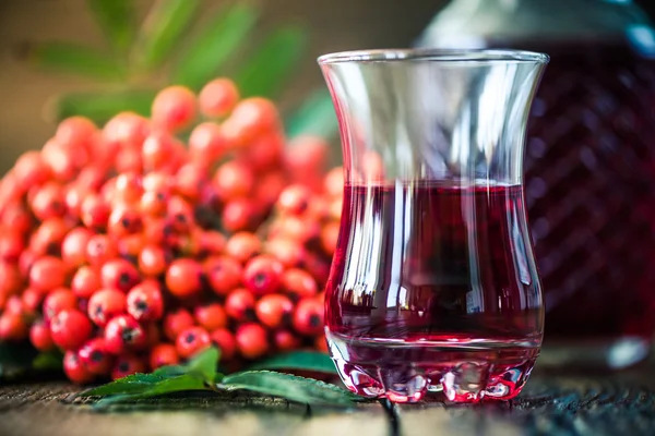 Rowanberry Natural Tincture Winter Ashberry Fruits — Stock Photo, Image