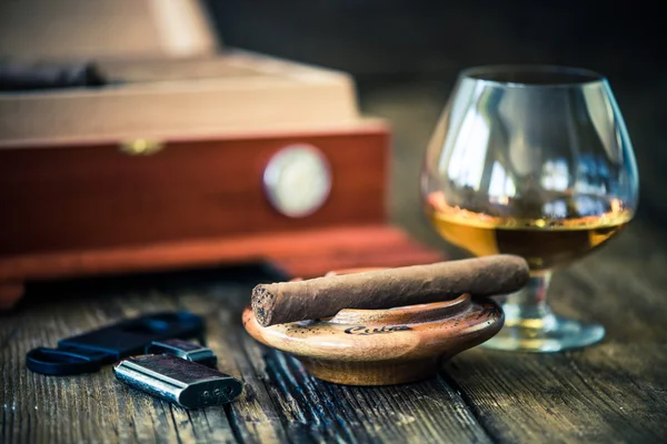 Bardak konyak ve puro — Stok fotoğraf