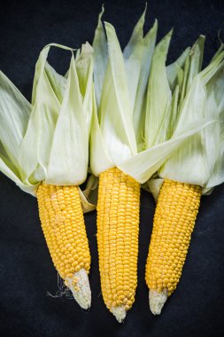 tüm mısır koçanı