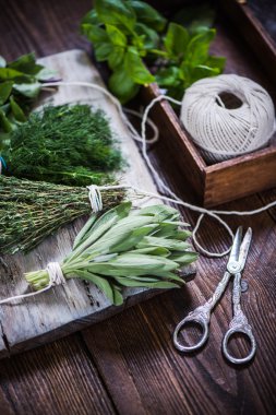 Fesleğen, adaçayı, dereotu ve kekik otlar