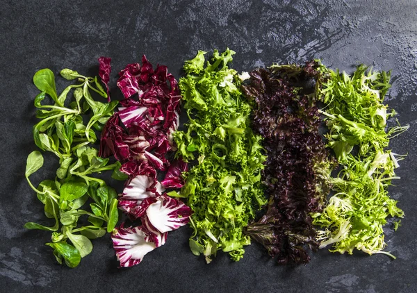Verschillende frisse salade op donkere leisteen — Stockfoto