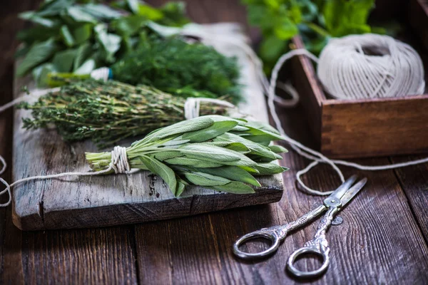 Basil,sage,dill,and thyme herbs — Stock Photo, Image