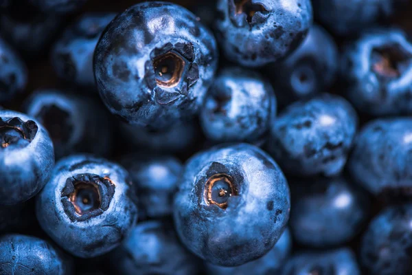 Macro view blueberries — Stock Photo, Image