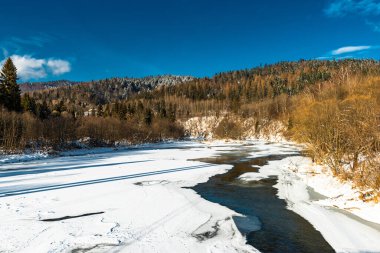 Bieszczady Dağları 'ndaki Donmuş San Nehri Kış Mevsimi Parkı.