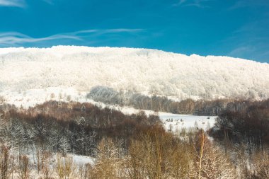 Kar, Bieszczady Ulusal Parkı 'ndaki Polonina Dağları' nı kapladı. Kış mevsimi. Vahşi doğa manzarası.
