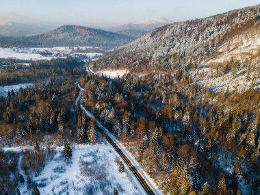 Kış mevsimi karlı manzarası. Polonya 'daki Bieszczady Dağları Parkı. Hava Aracı Görünümü.