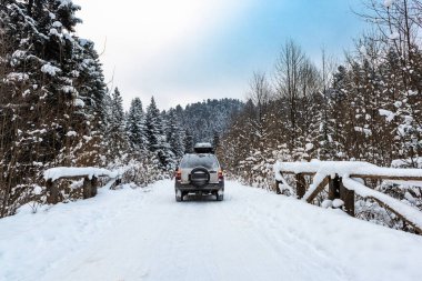 Off Road Adventure in Winter Snow, Wilderness Ormanı 'nı kapladı. 4x4 Buzlu Yol Sürüşü.