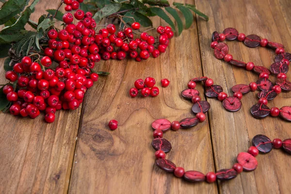 Rowanberry — Stock Photo, Image