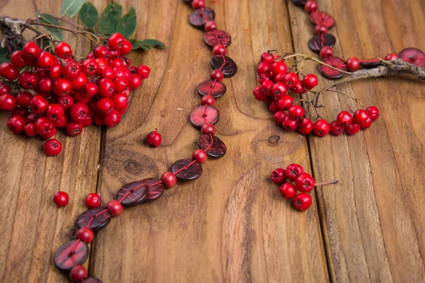 Rowanberry — Stock Photo, Image