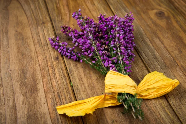 Heathers — Stock Photo, Image