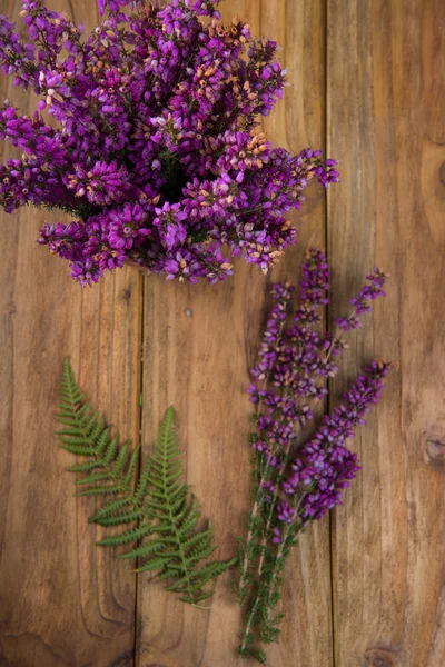 Heather in de pot — Stockfoto