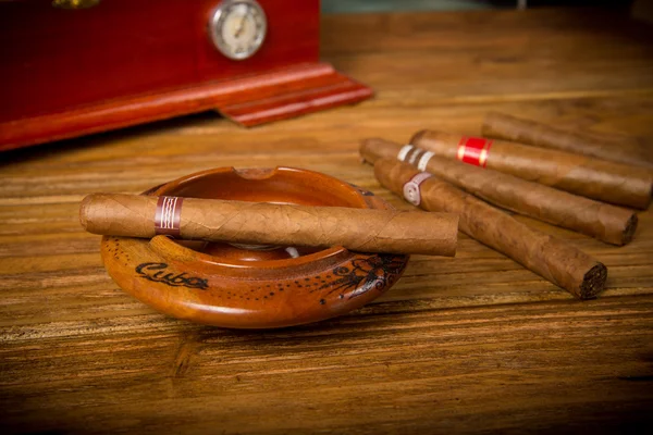 Cigars and humidor — Stock Photo, Image