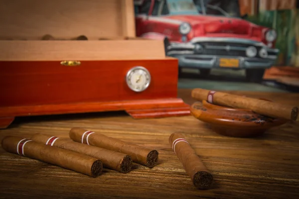 Cigarrer och humidor — Stockfoto