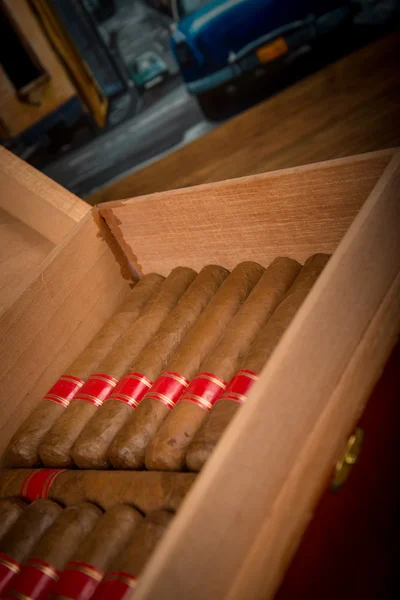 Cigars and humidor — Stock Photo, Image