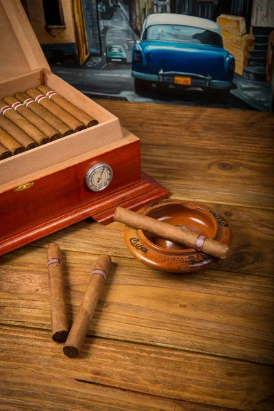 Cigarrer och humidor — Stockfoto