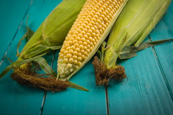 Кукуруза в початках — стоковое фото