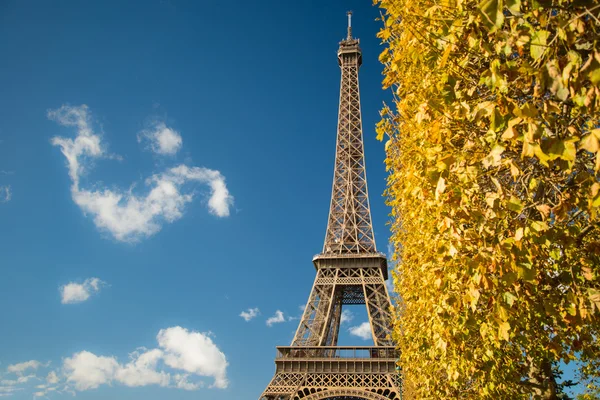 Eiffel Tower over blue sky and fall leaves — Stock Photo, Image