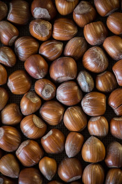 Fresh autumn hazelnuts background — Stock Photo, Image