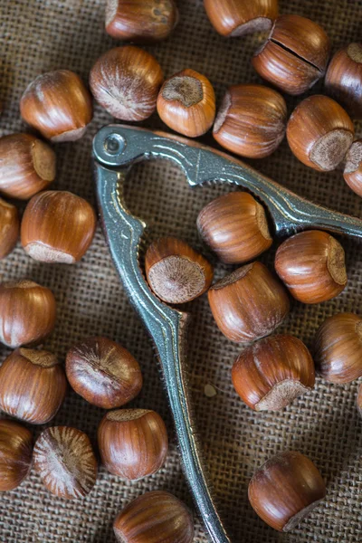 Table top view over hazelnuts and cracker — Stock Photo, Image