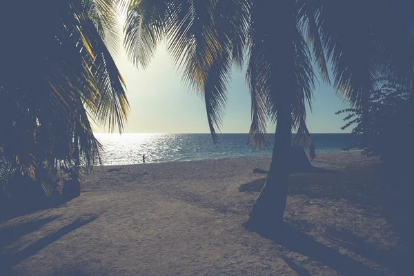 Vintage wygląd na plaży Caraibean malownicze za palmy — Zdjęcie stockowe