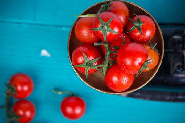 Farma čerstvá rajčata na vinobraní měřítku — Stock fotografie