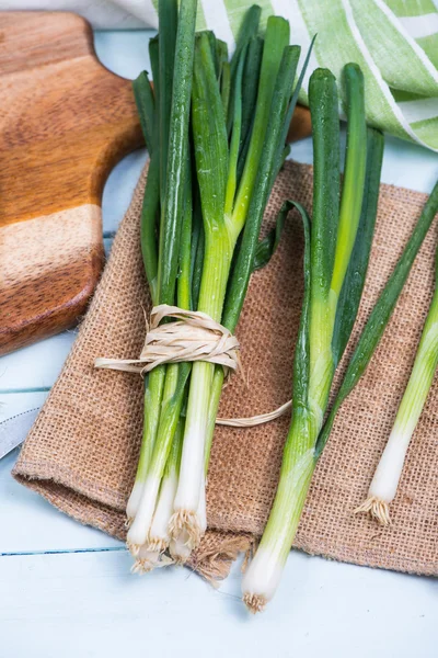 Farm fresh spring onion — Stock Photo, Image