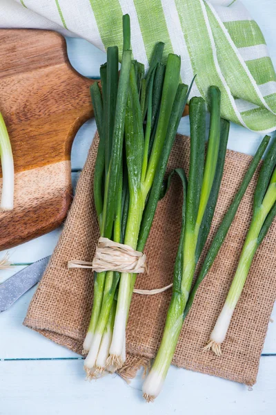 Farm fresh spring onion — Stock Photo, Image