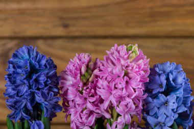 ahşap arka plan üzerinde taze sümbül çiçek